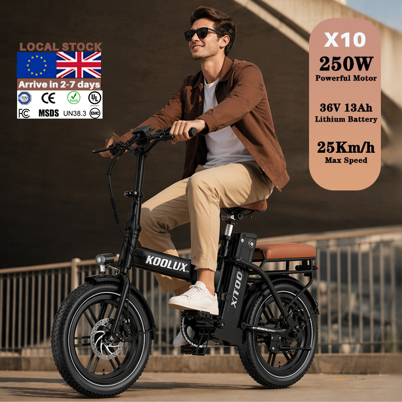 Mountain Biking Europe - Europa Polen X10 Elektrische Vouwfiets Lithium
